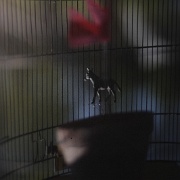 ZUR cabanobscura-31766